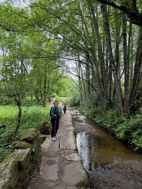 Imágenes del Camino de Santiago
