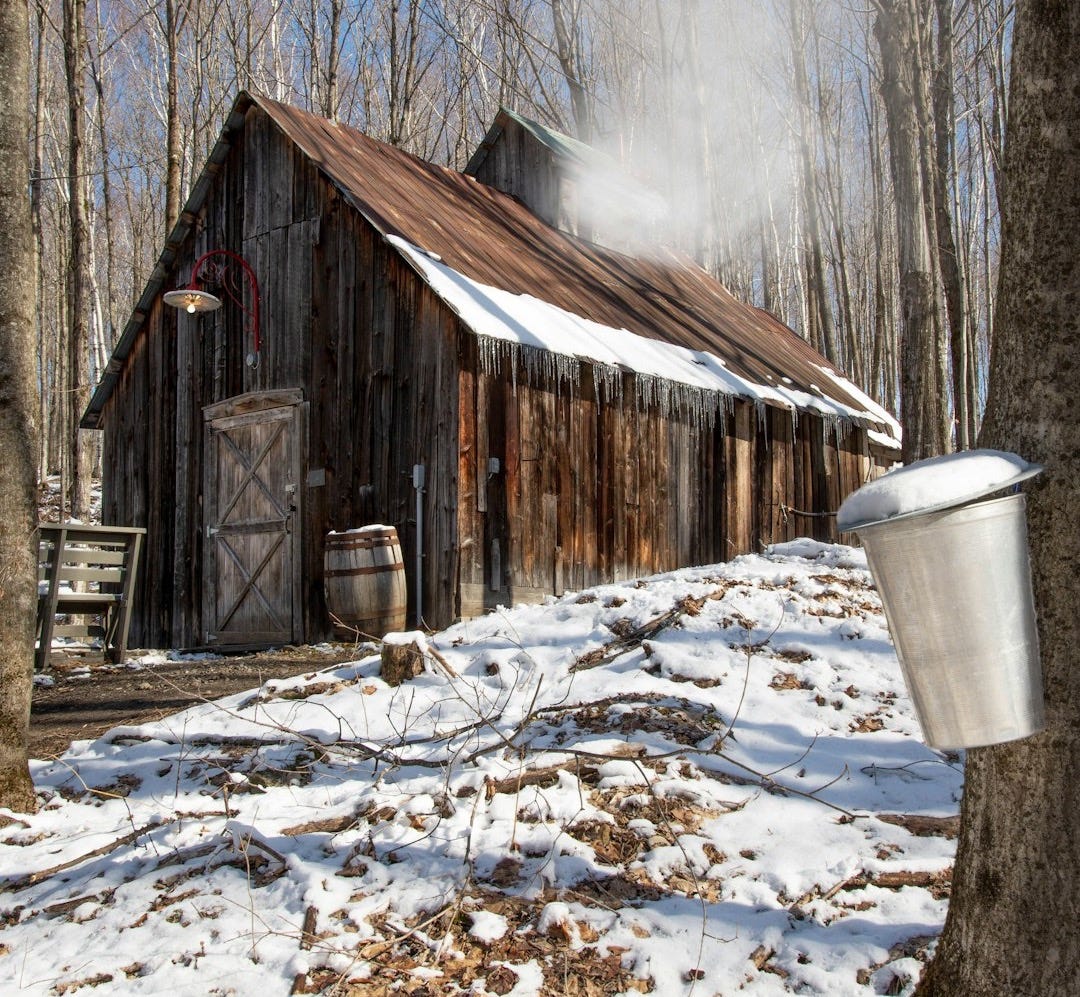 brown wooden house on snow covered ground brown wooden house on snow covered ground