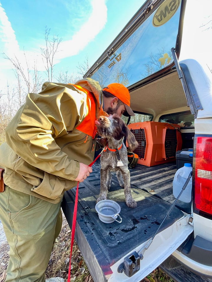 Author and his bird dog on the tailgate