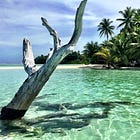 INDEX (500) days of paradise