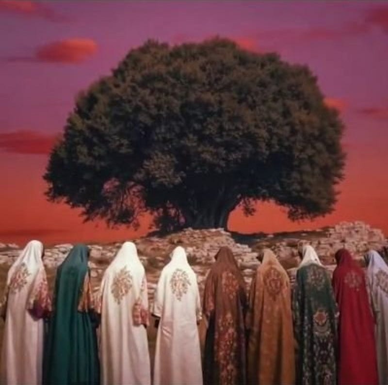 Palestine, mahmoud darwish, tree