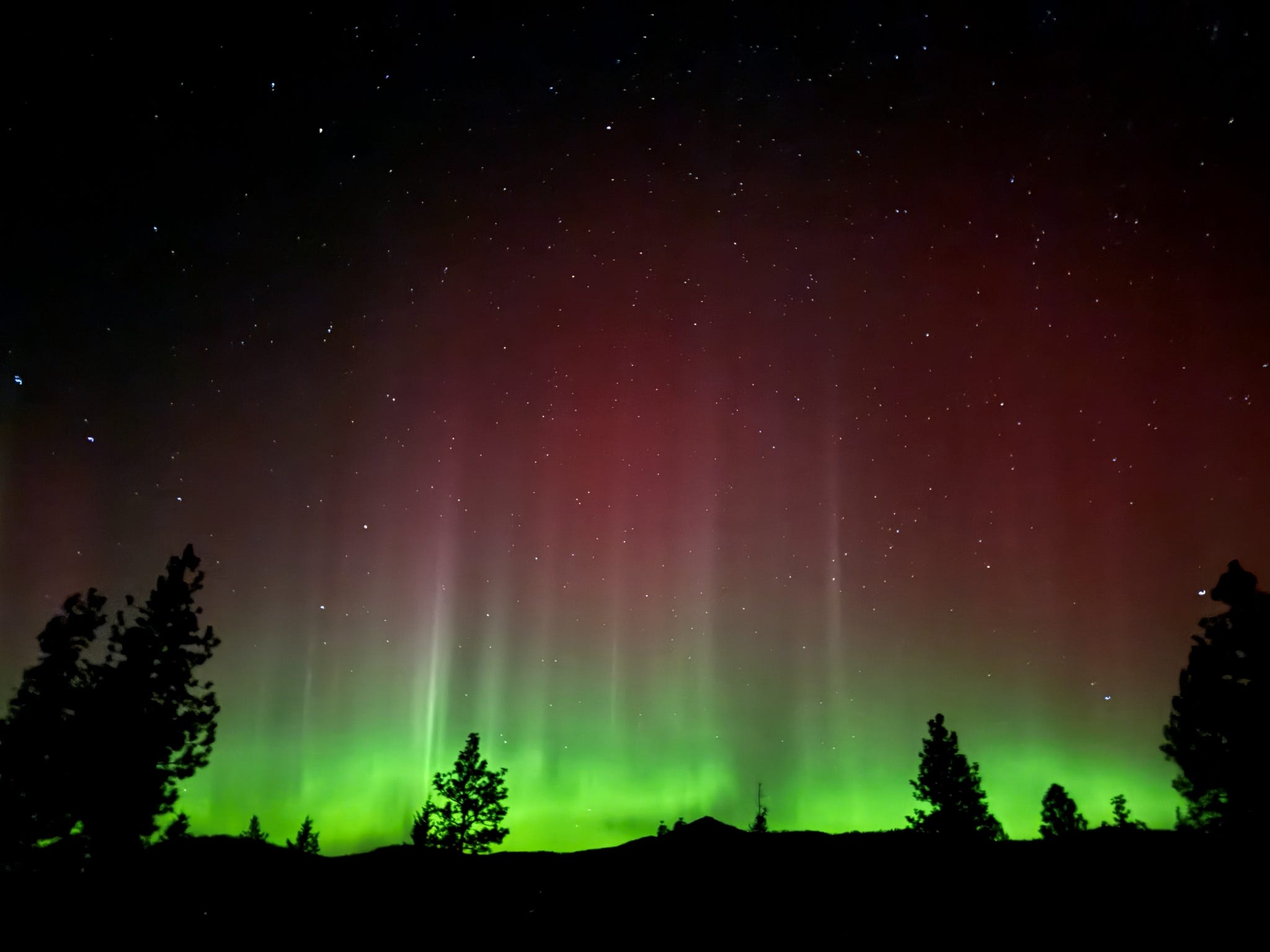 I Used Claude to Build My Entire Online Store. Here’s What That Actually Looks Like.