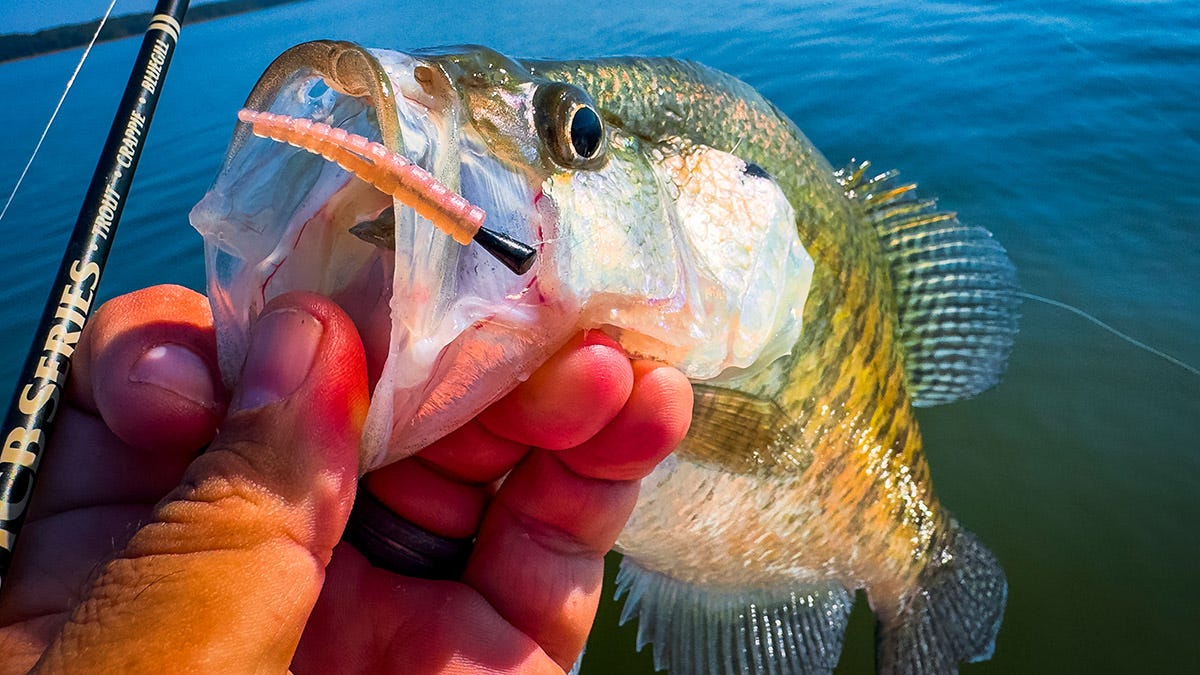 5 6 wt fly reel Cheeky Fishing Drip 375 5-6 Wt. Fly Fishing Reel