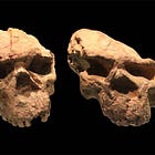 The problem skulls from Yunxian