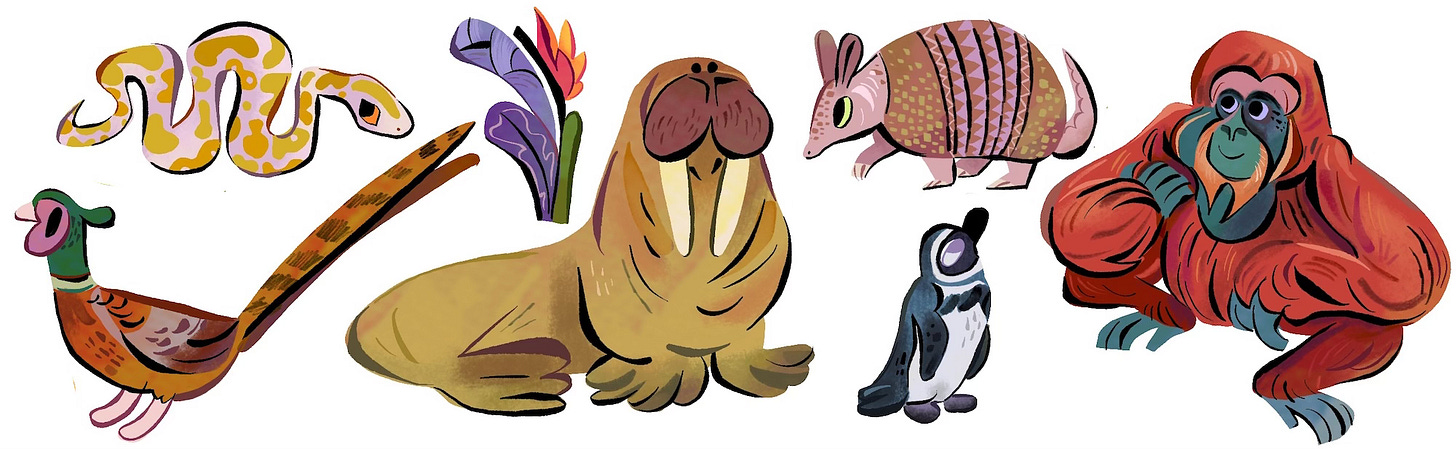 a selection of illustrated animals