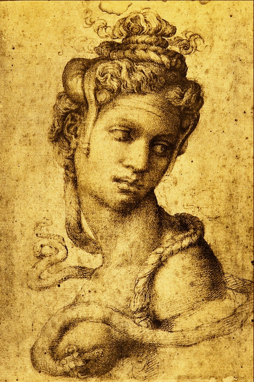 A chalk drawing of a young woman's head and shoulders, her face turned aside and her eyes lowered, a snake winding from her braided hair around her neck and shoulder.