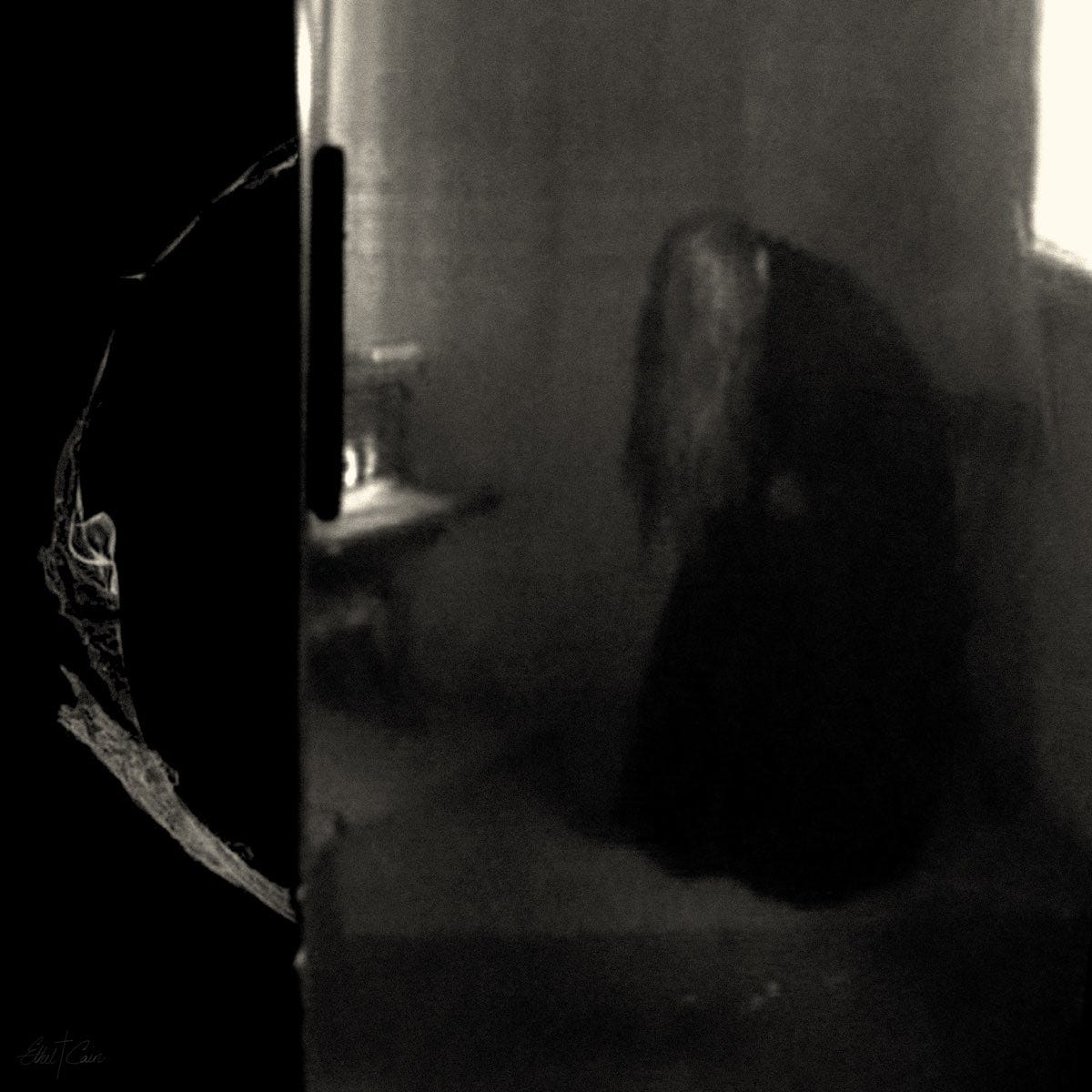 Perverts - Album by Ethel Cain - Apple Music