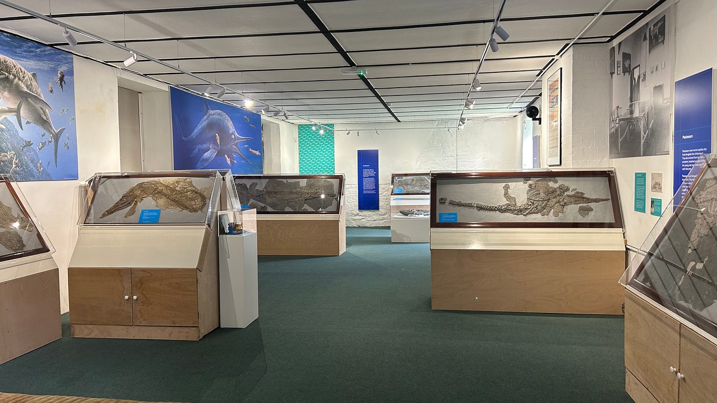 A view of a number of cabinets in the Fossil Museum at Clarks Shoemakers Museum. A view of a number of cabinets in the Fossil Museum at Clarks Shoemakers Museum.