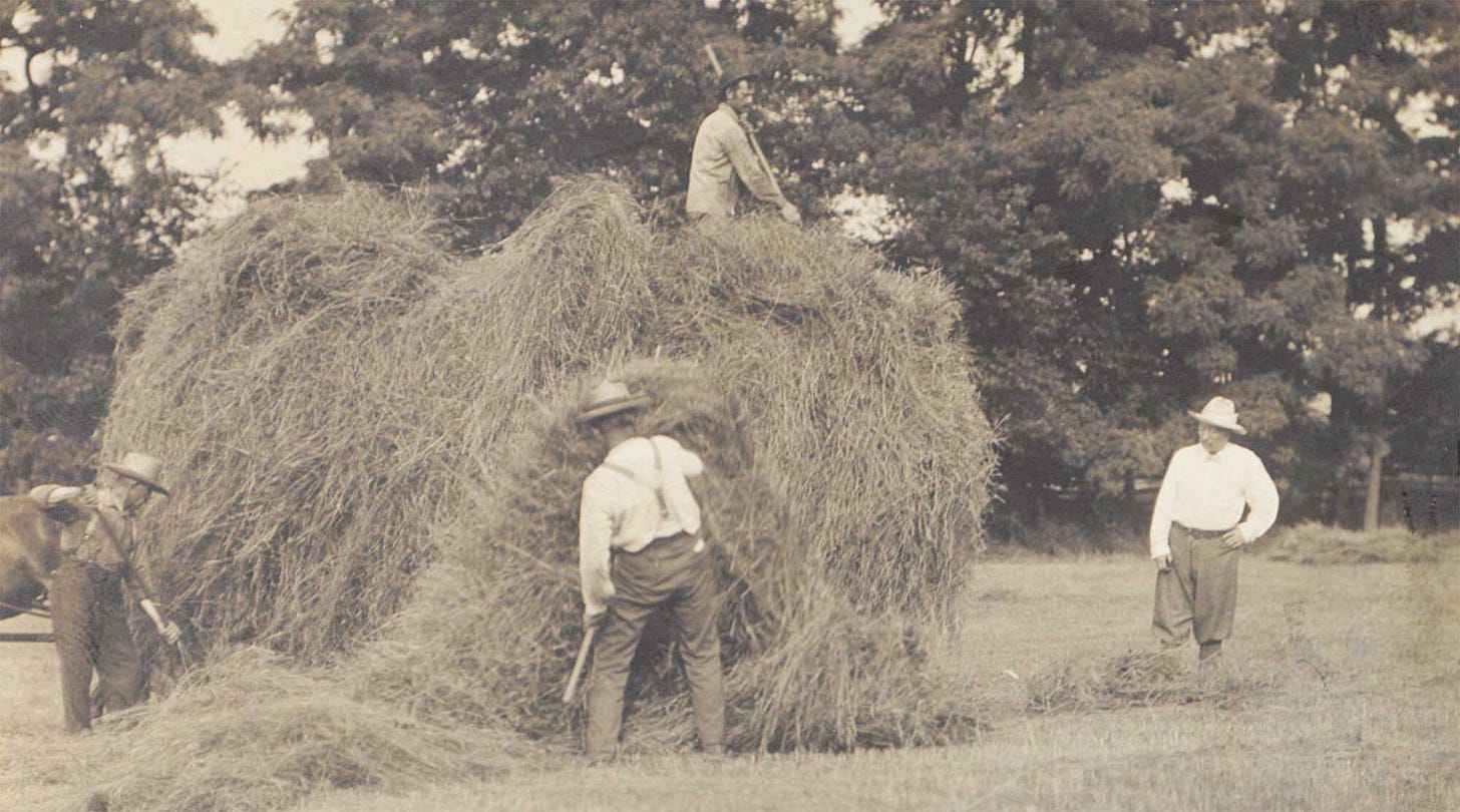TR-Environment-1905-LOC.jpg TR-Environment-1905-LOC.jpg