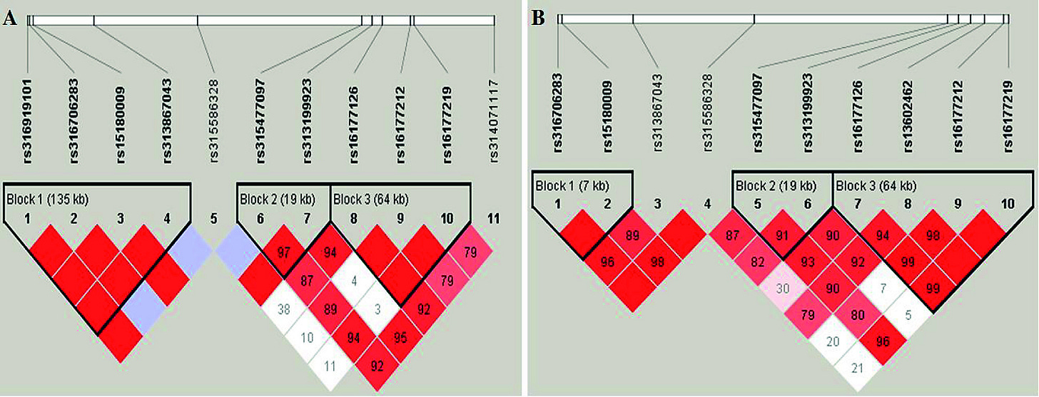 The haplotype blocks and linkage disequilibrium.