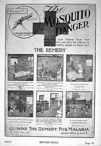 File:"British India", six stages of malaria. Wellcome L0022443.jpg