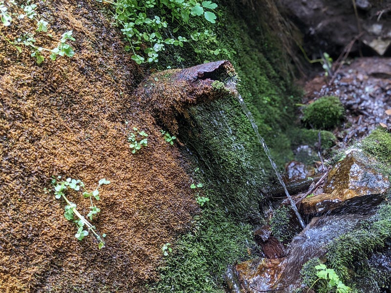 Small pipe jutting out of rock streaming water covered in moss