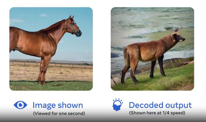 Exemple de décodage d’une image par intelligence artificielle : à gauche, la photographie présentée au volontaire ; à droite, l’image produite par l’IA en interprétant l’activité cérébrale du sujet captée par magnétoencéphalographie (MEG).