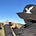 Bonnie Durrance's avatar