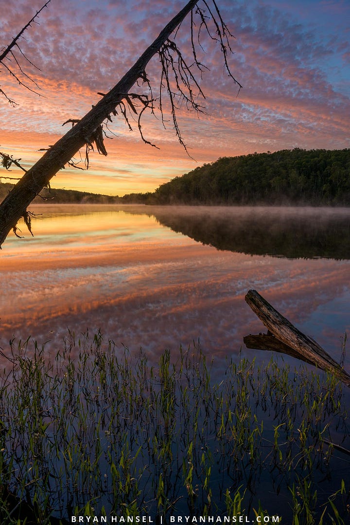 A photo of a tree and sunrise or sunset over a lake.