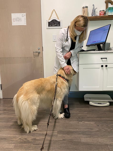 Dr. Melissa Magnuson with her patients