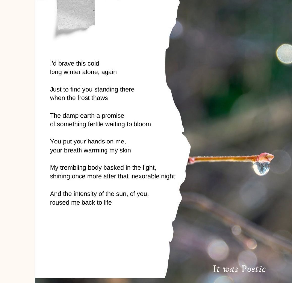 Spring Growth Poetry Poems for Spring: On Growth, Renewal, and Returning to Yourself