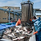 Forget the Guilt — Eating Seafood Can Help Save the Ocean: Spilled Milk #380