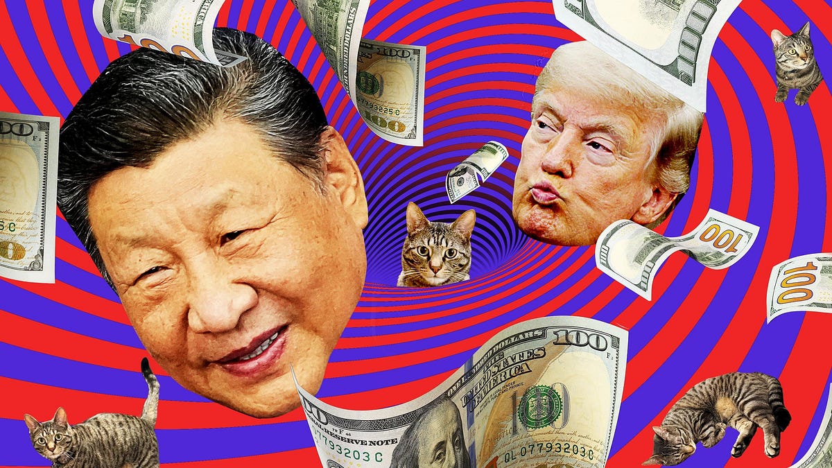Banken, Trump, China und Katzen: Die langweiligste Geschichte aller Zeiten