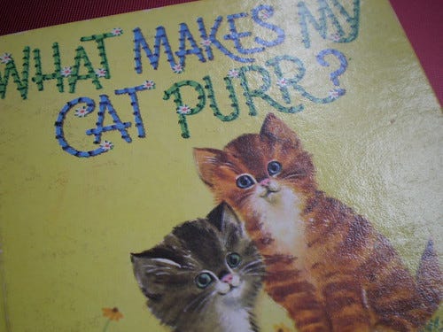 What Makes My Cat Purr? What Makes My Cat Purr?