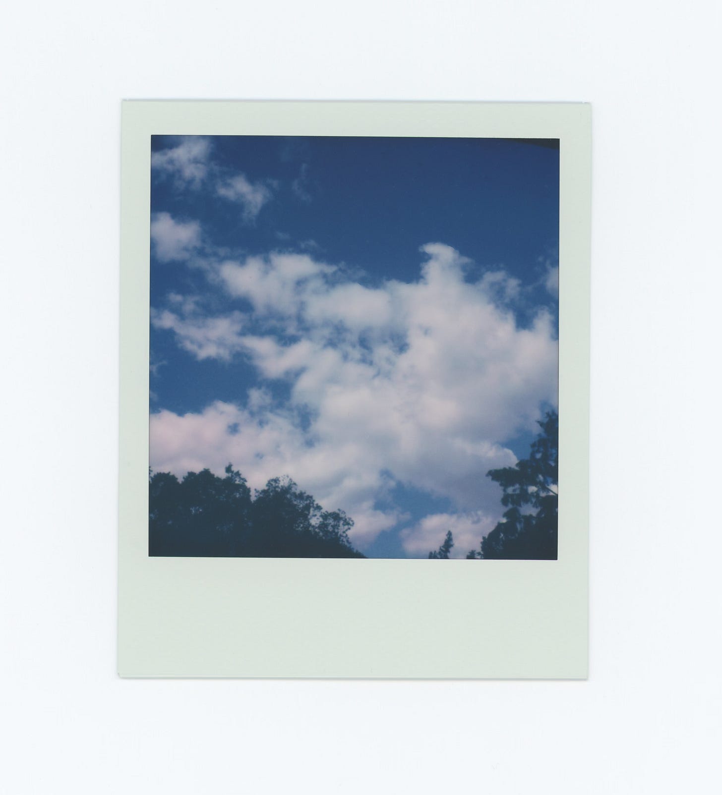 A polaroid of the same view as above, but taken during the day time. The sky is light blue and filled with fluffy white clouds. The trees are still in silhouette.