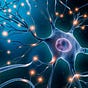 Neurostiinta Iluminarii