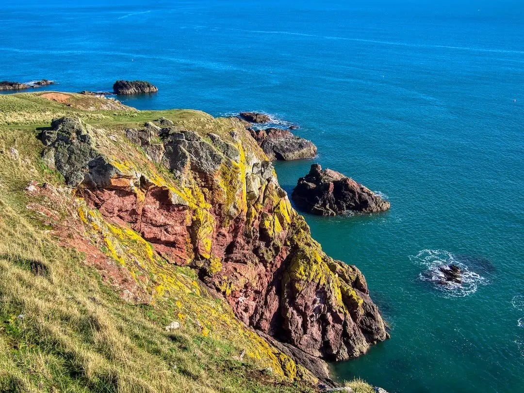Coastal Cliffs covered in yellow moss