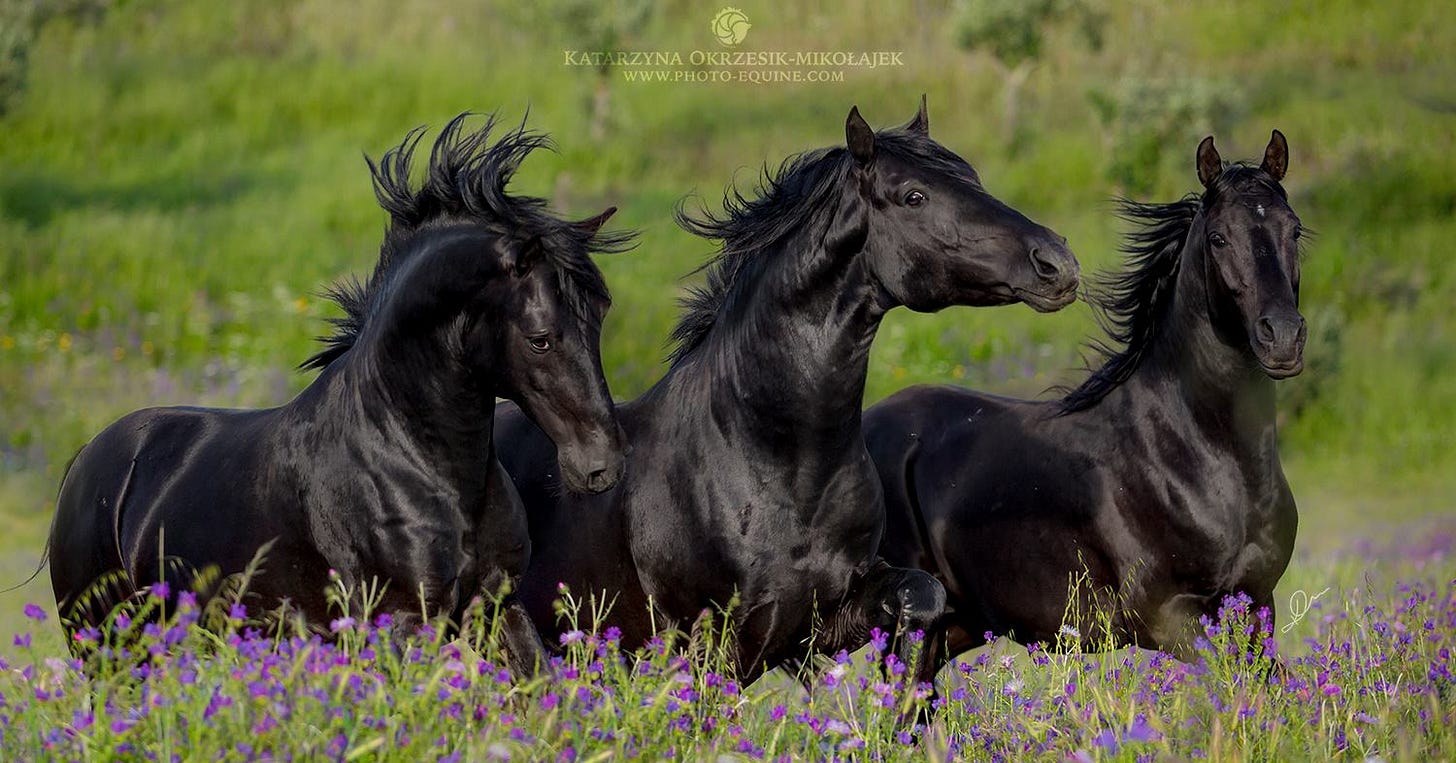 No photo description available.