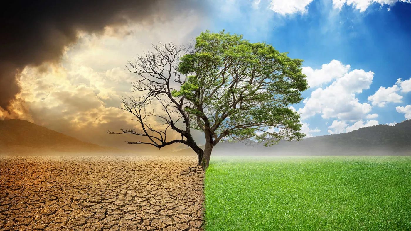 The Difference Between Scarcity and Abundance | The Masters Lawn Care