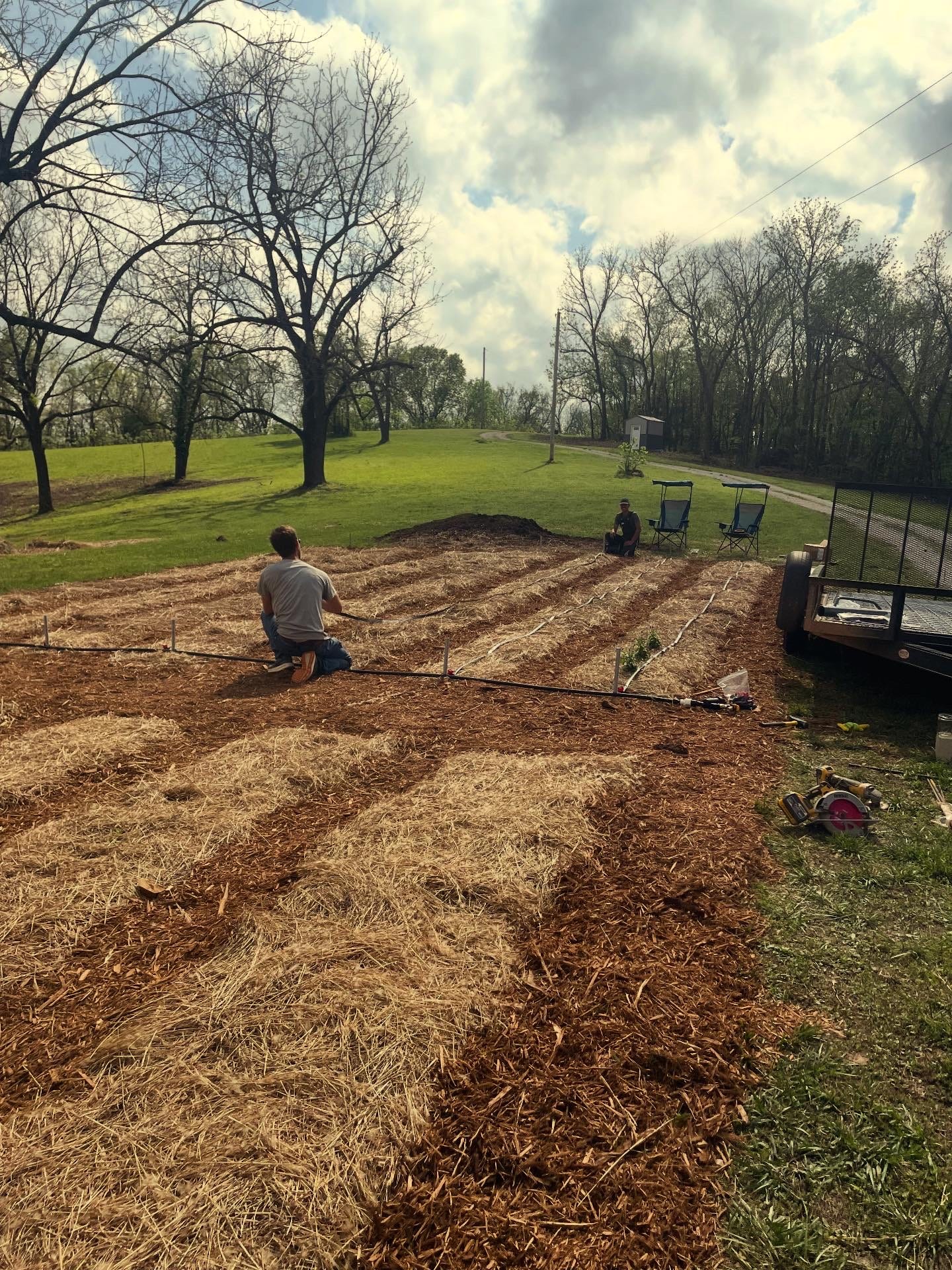 Ian and Cooper laying irrigation for the garden - 2026