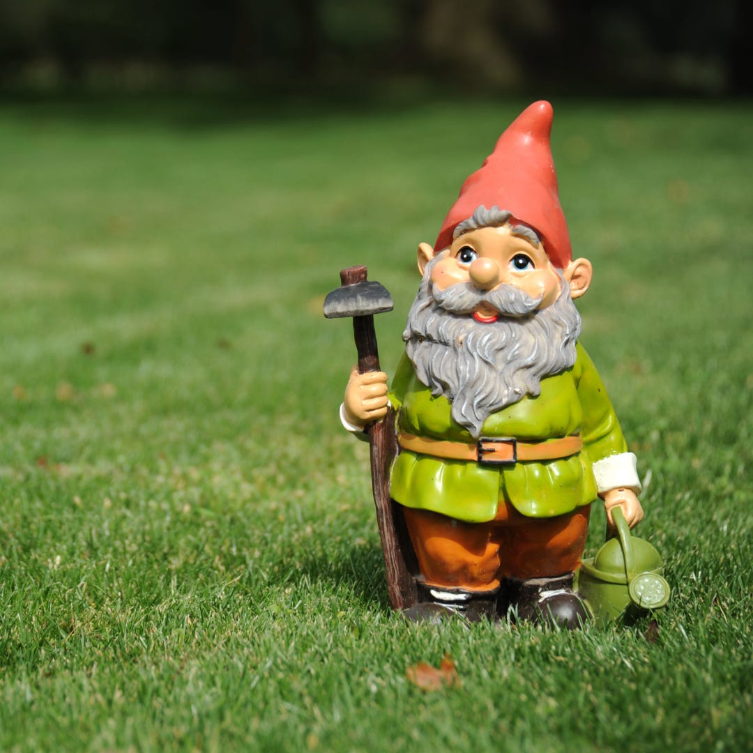A garden gnome in the grass