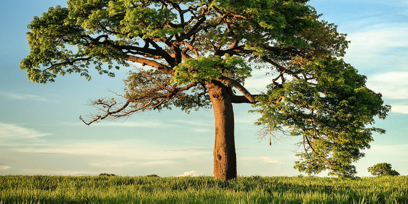 He Who Believes Has Eternal Life