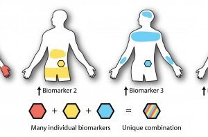 Therapies that are sensitive to multiple biomarkers could allow medicines to reach only the areas of the body where they are needed. The diagram above shows three theoretical biomarkers that are present in specific, sometimes overlapping areas of the body. A therapy designed to find the unique area of overlap between the three will act on only that area.