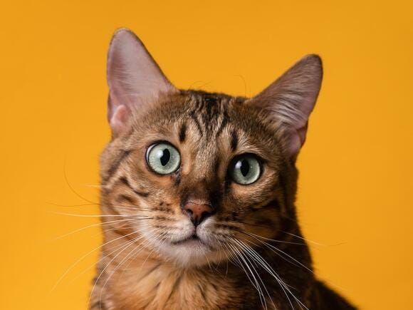 Ault Alliance's Q3 Revenue Soars: What This Means for You