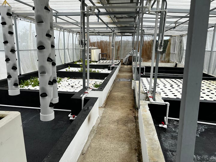 Hydroponic farm visits - Campo Caribe & Technoflora