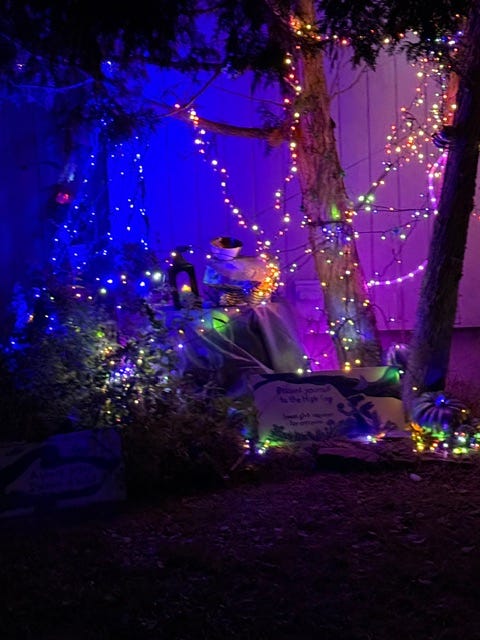The lit bushes of the Aurora Wisp Swarm.