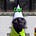 ChienPourri's avatar