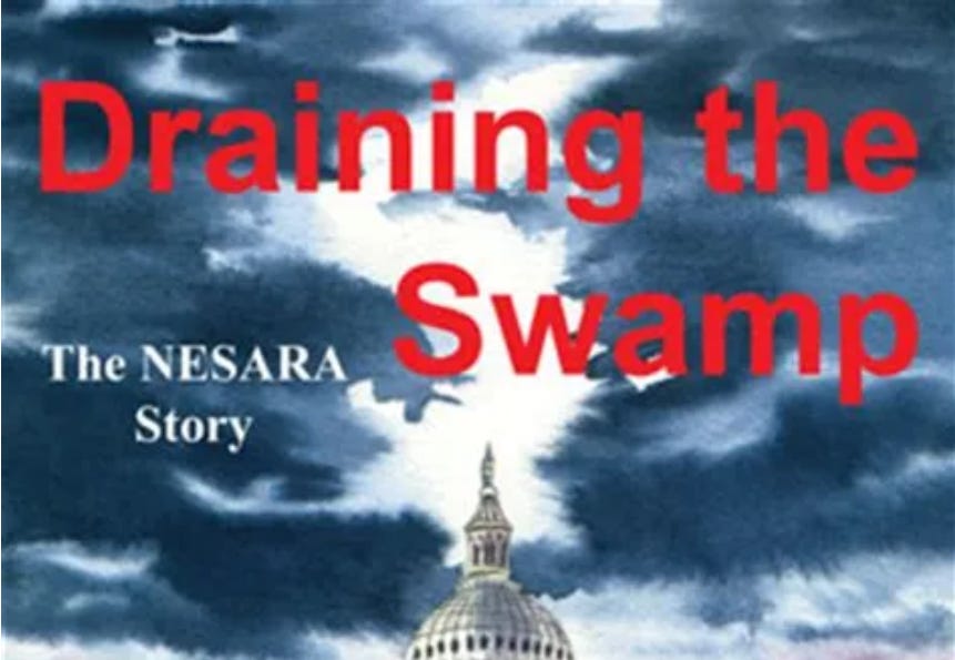 NESARA in the information warfare