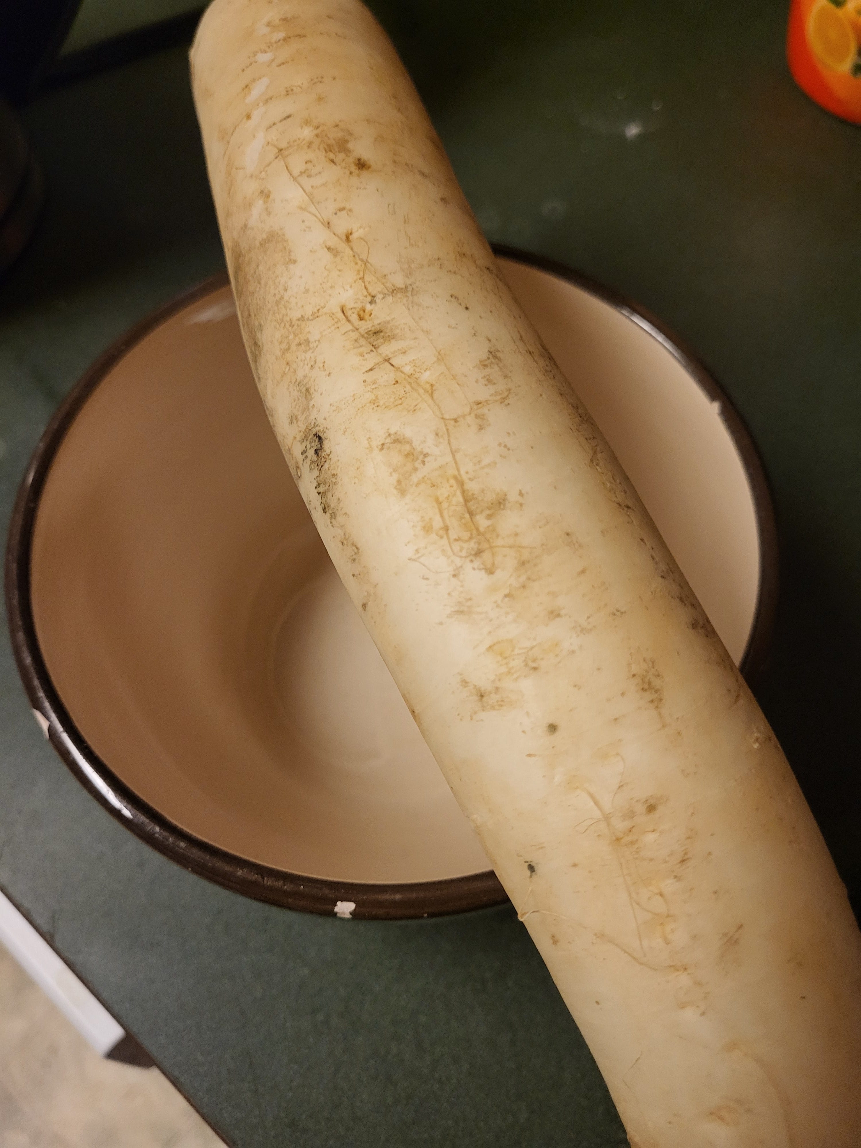 Daikon Gastrodome: D is for Daikon - by Timothy Burke