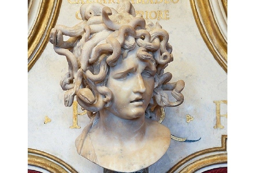 Medusa: Looking Full-On at the Gorgon History Cooperative