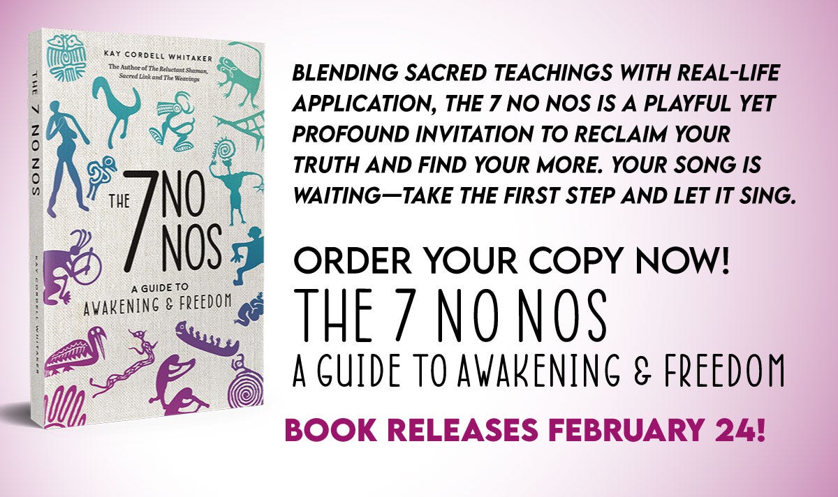 Preorder the 7 No Nos Preorder the 7 No Nos