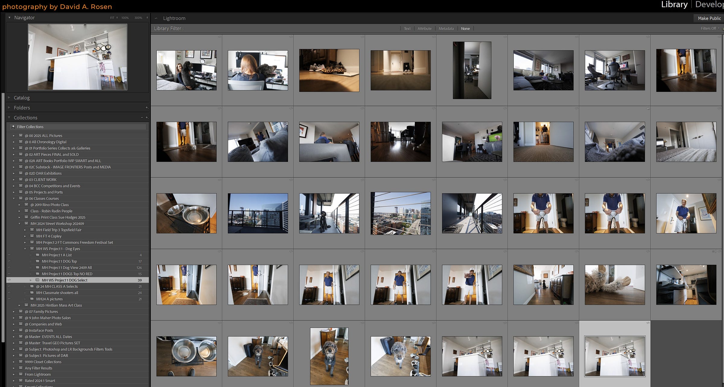 Image Clip of Lightroom Classic Grid View of 37 Images 