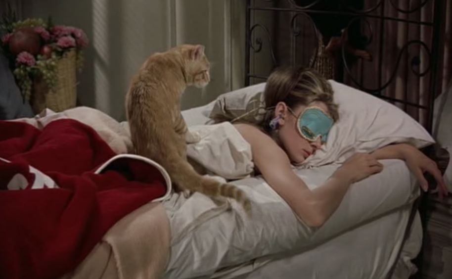 CAT OF THE DAY 084: BREAKFAST AT TIFFANY'S | CATS ON FILM