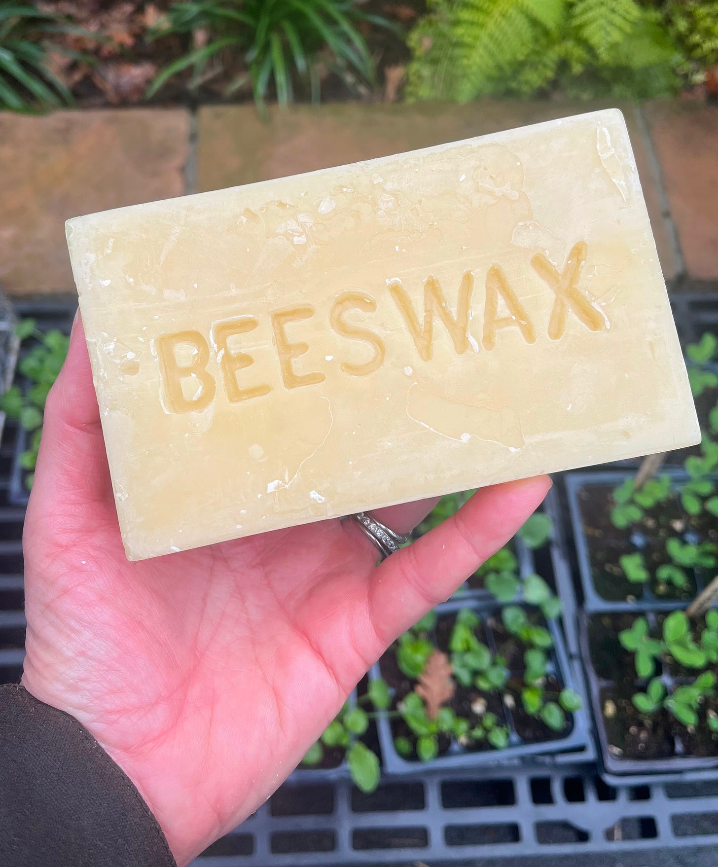 A block with the word "BEESWAX" carved into it. A block with the word "BEESWAX" carved into it.