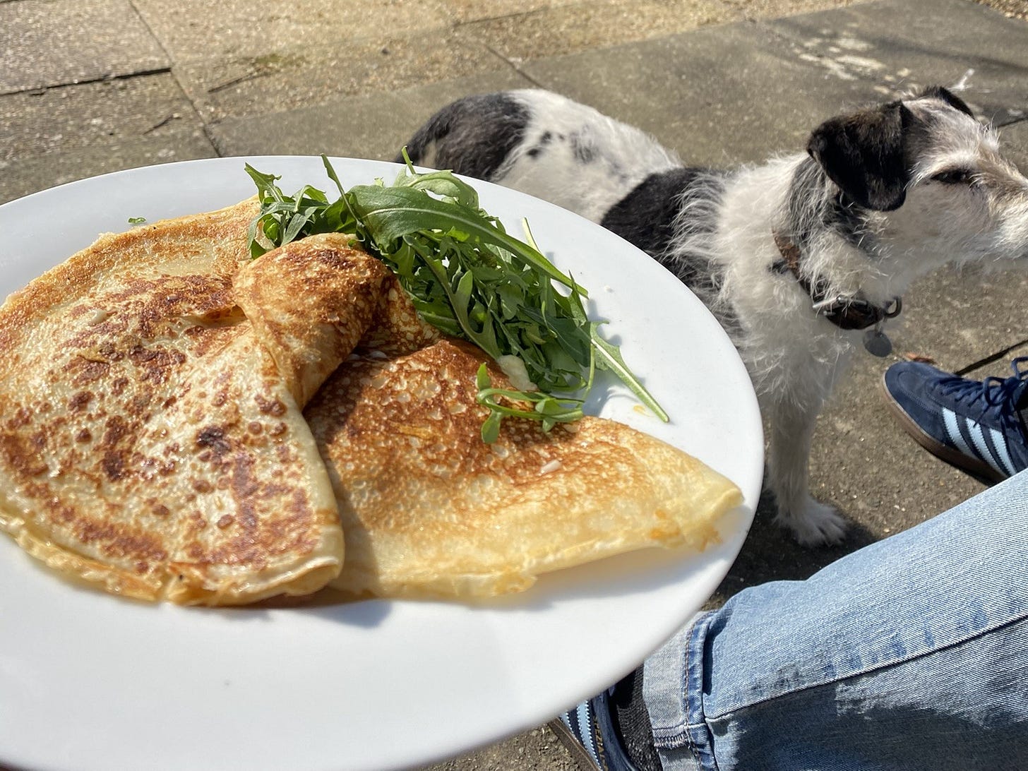 A plate of crepes and rocket outside. A dog stands behind the plate. A pair of legs and feet are next to it, indicating they are sat down. The floor is tiled with concrete slabs, showing they are in an outdoor space like a patio.