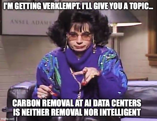 SNL Coffee Talk meme: Mike Myers as Linda Richman in a big wig, tinted glasses and a purple sweater, gesturing. Top text: "I'M GETTING VERKLEMPT. I'LL GIVE YOU A TOPIC..." Bottom text: "CARBON REMOVAL AT AI DATA CENTERS IS NEITHER REMOVAL NOR INTELLIGENT"
