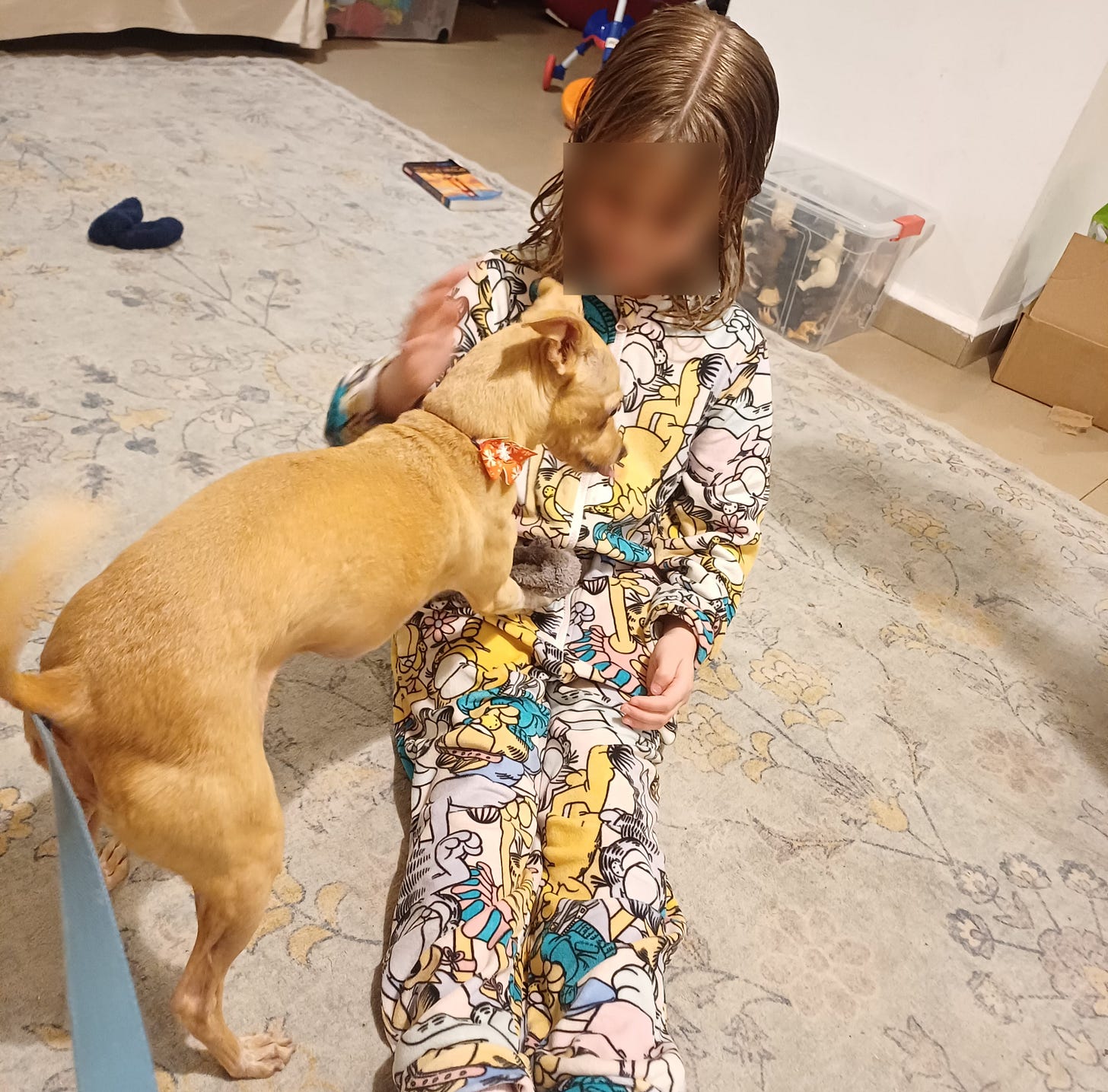 Child in pajamas sitting on floor with a small shorthaired dog playing with her.