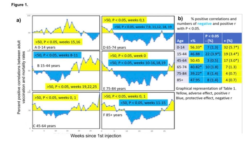 May be an image of text that says 'Figure >50, weeks 0,1 7,9, 11,12 >50, weeks 15,16 A0-14 years b) positive correlations and numbers negative and positive with 0.05. 0.05, weeks 8-11 D65-74 years B 15-44 years P<0.05 week hp uiiminn soled correlations and mortality positive vaccination Percent weeks 10-16,18,19 weeks 19,22,25 0-14 56.33* 7(1.3) 32 (5.7") 15-44 46.88 22(3.9*) 19(3.4") 45-64 50.45 3(0.5) 17(3.0*) 65-74 40.82* 10(1.8) 7(1.3) 75-84 39.22" 8(1.4) 4(0.7) 85+ 47.95 8(14) 4(0.7) 50, P<0.05, weeks E75-84 years >50, 0.05, weeks weeks 11-15 Graphical representation of Table Yellow, adverse effect, positive Blue, protective effect, negative 45-64 years 85+ years Weeks since 1st injection'
