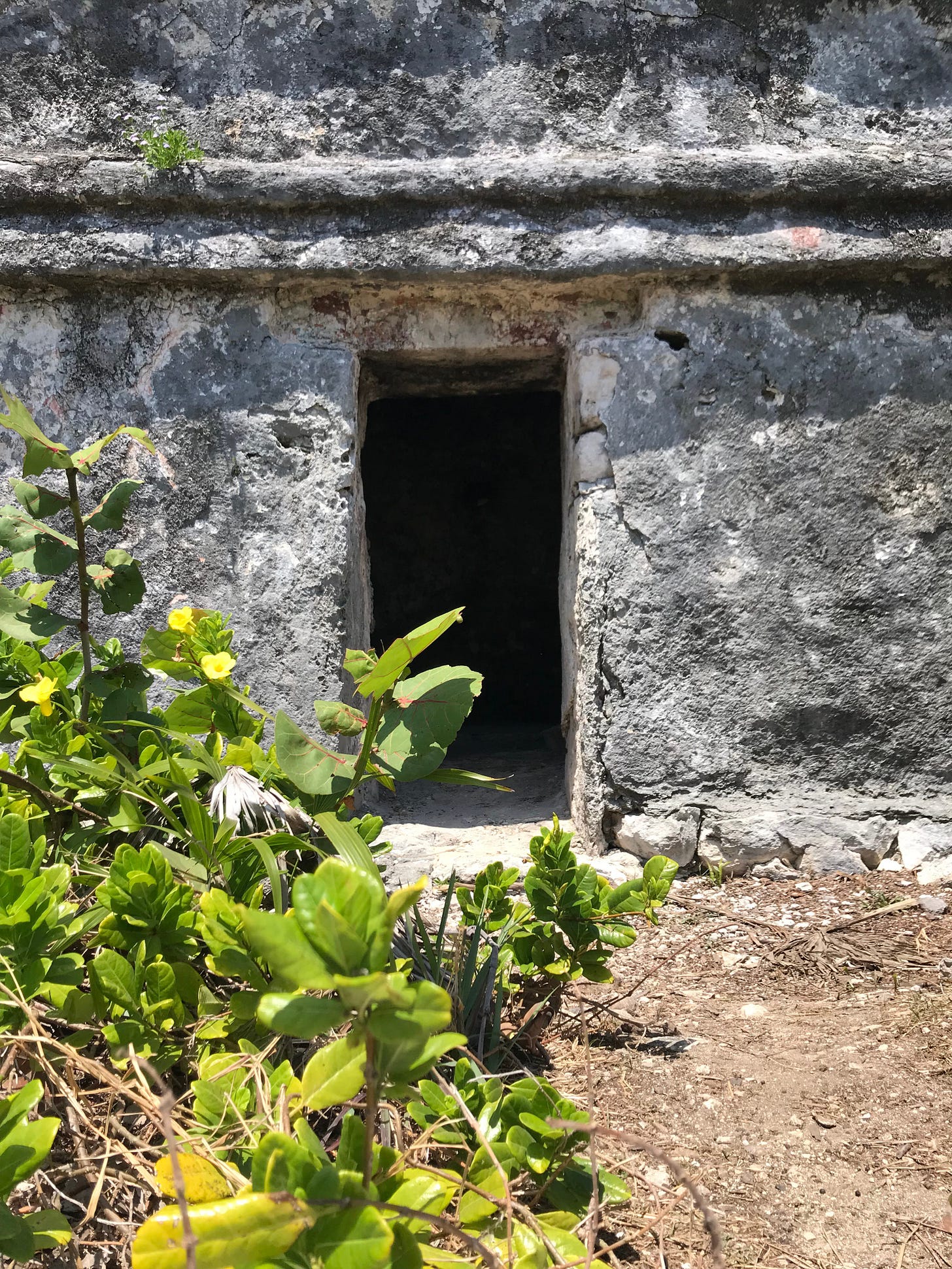 Sacred Mayan site in Quintana Roo. Photo by the author.