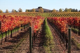 A - Napa Valley @ 700 dpi 20 A - Napa Valley @ 700 dpi 20